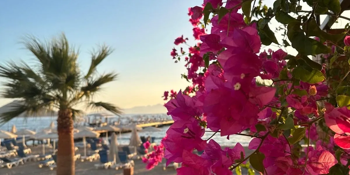 Sundance Suites Hotel